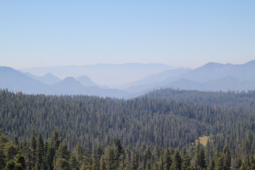 Sequoia National Forest